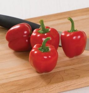 Seed Catalogs--What's New for 2013 Image
